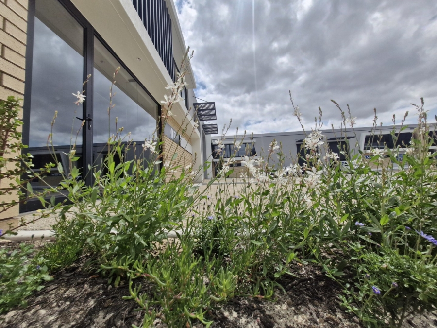 To Let commercial Property for Rent in Stikland Industrial Western Cape